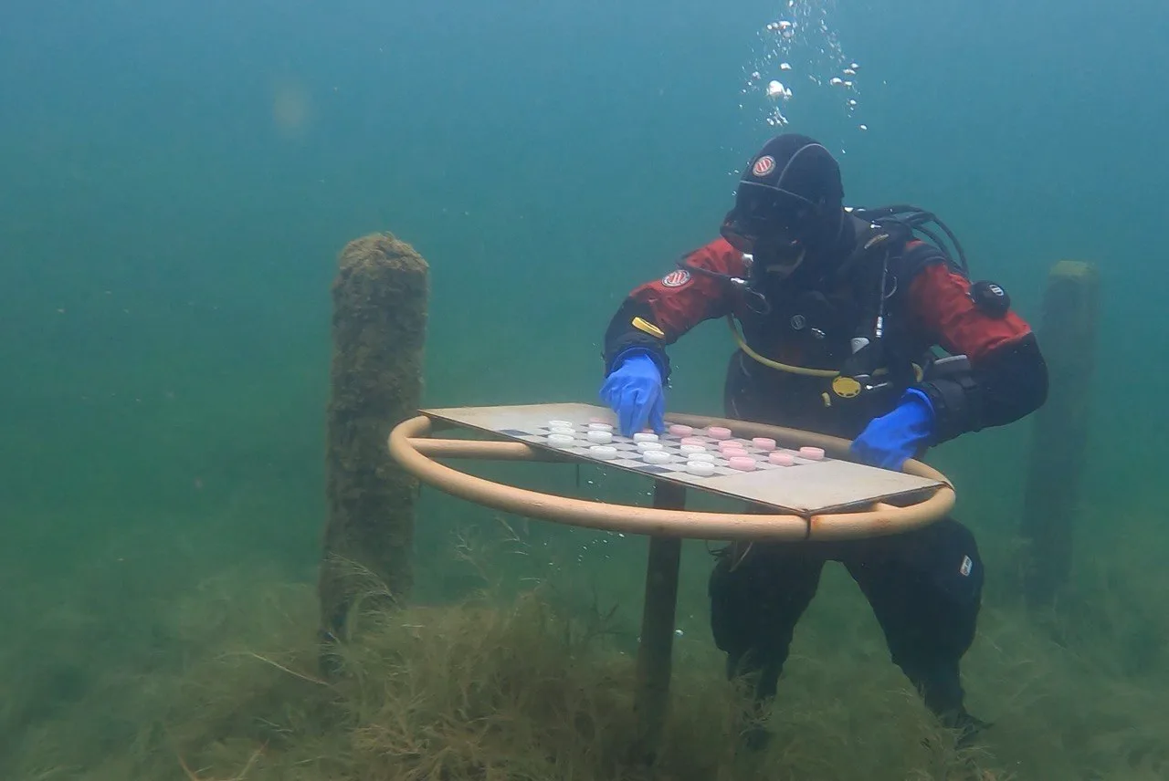 Diving — underwater chess